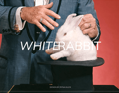 WHITE RABBIT online clothing shop ui ux design