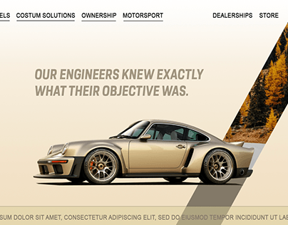 Porsche website designed by Jahangir