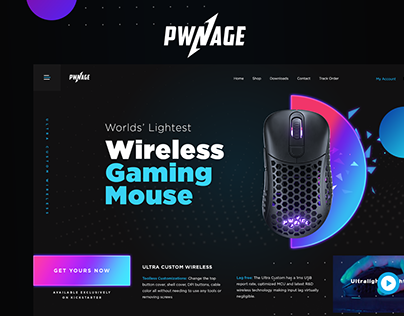 Pwnage Gaming Mouse
