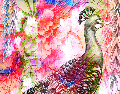 Project thumbnail - Peacock among the leaves