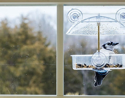 The Best Window Bird Feeders – Ideal for birdwatching