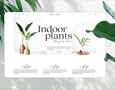 Plants and flowers shop, indoor plants