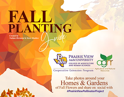 Fall Planting Guide - Infographic