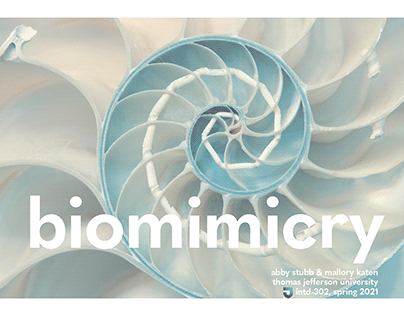 Biomimicry Sustainable Research // Spring 2021