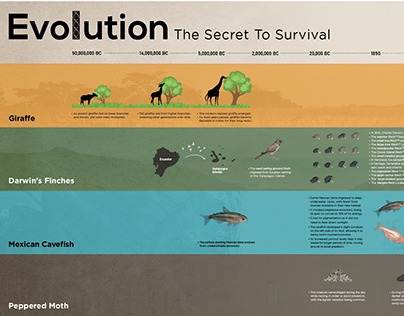 Evolution : The Secret To Survival (Infographic)