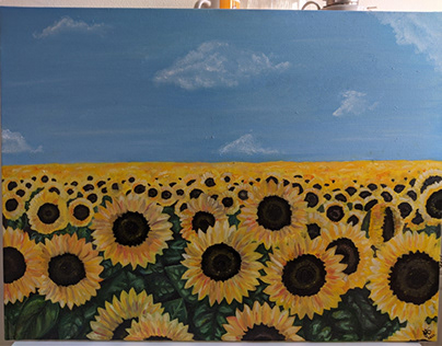 sunflower field,oil paint 60x80cm