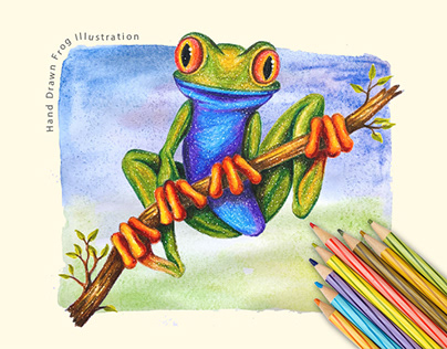 Hand Drawn Illustration - Frog