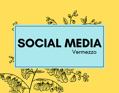 Social Media - Vermezzo