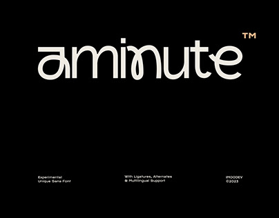 Aminute Experimental Unique Sans Font