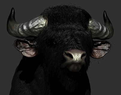 Zbrush Bison Sculpting