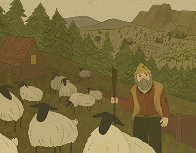 sheeps illustration