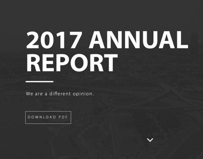American Fidelity Interactive Annual Report