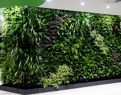 Artificial & Preserved Plants and Trees-Plants design