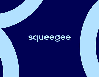 Squeegee - A Door To Door Car Wash Business