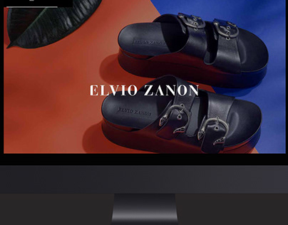 Website Elvio Zanon