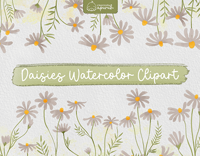 Daisies Flower Watercolor Clipart