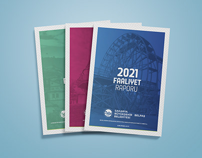 SBB - Belpaş - Sasay - Uzman Faaliyet Raporları 2021