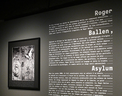 "Roger Ballen, Asylum of Birds", exhibition