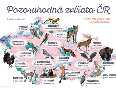Remarkable animals - illustrated map