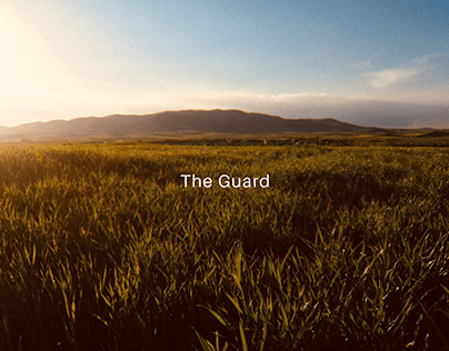 "The Guard" - Orchestral Soundtrack