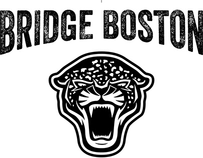 BRIDGE BOSTON LOGO