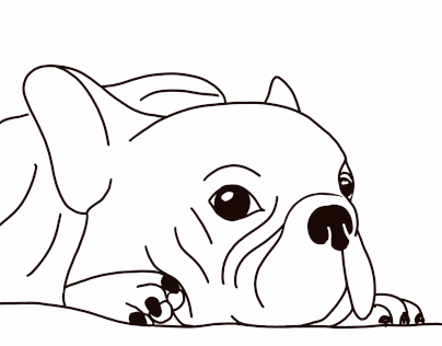 french bulldog outline gif illustration