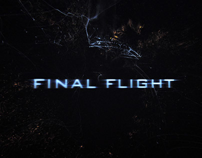 Final Flight - Graduate Thesis Project - SVA