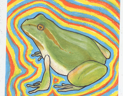 Trippy LED Frog
