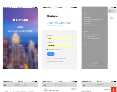 NetApp BVE App(wire frame)
