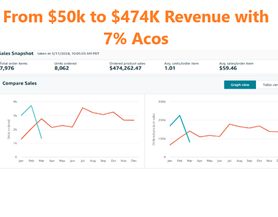 Scaled brand from $100k to a $474k Revenue Per Month