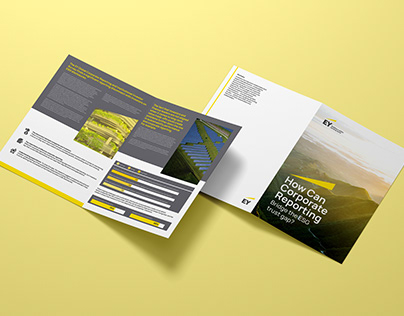 BROCHURE DONE FOR EY