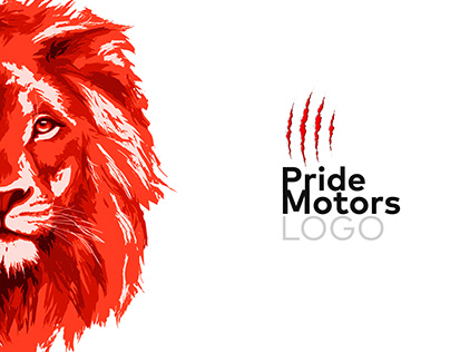 LOGO Identification Brand: Pride Motors