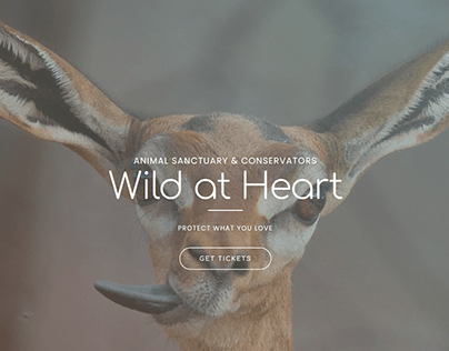 Wild at Heart Animal Sanctuary