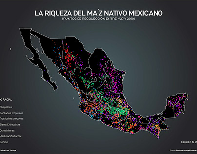 The richness of native Mexican maize