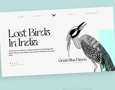 Web design for a company which supports Lost Birds