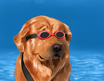Perro piscina