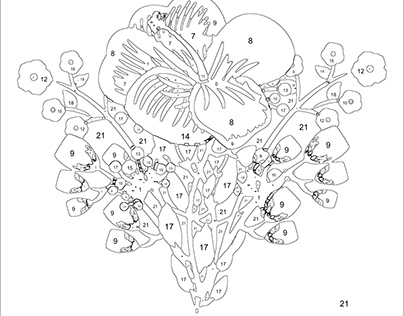 Color by Number Flower Coloring Pages