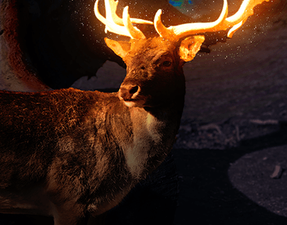Deer- photo-manipulation