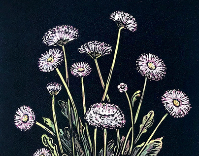 Daisy Relief print with Watercolour