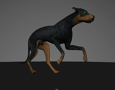 [3D] [Maya] Animation practice_Dog Run