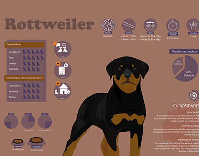 Infografia Rottweiler