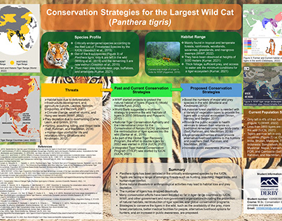 Poster design for tiger conservation strategies