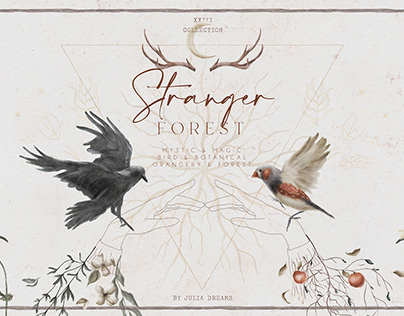 Stranger Forest Collection / Digital Clipart Set