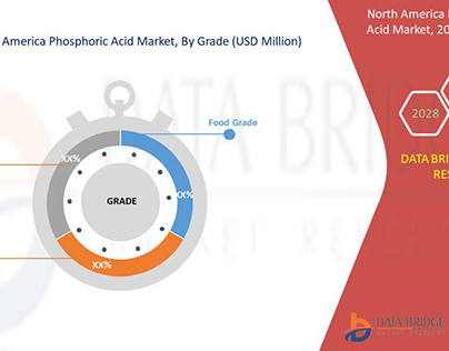 North America Phosphoric Acid Market