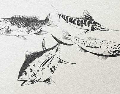 Fish Variety Vector Illustrations