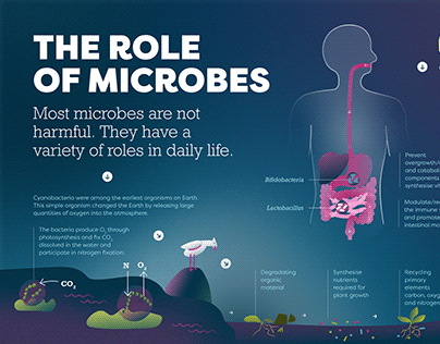 The Role of Microbes Infographic