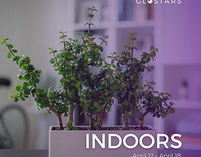 Indoors Photo Contest Invitation by Glostars