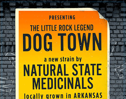 Natural State Medicinals Throwback Promotional Flyer