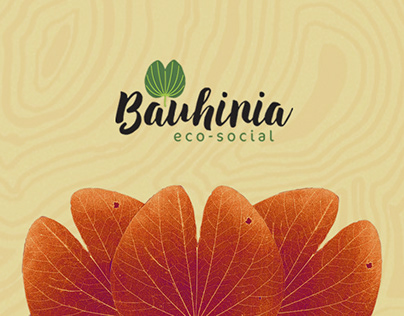 Capa de Livro-Bauhinia