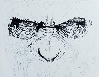 Caesar- planet of the apes pen sketch